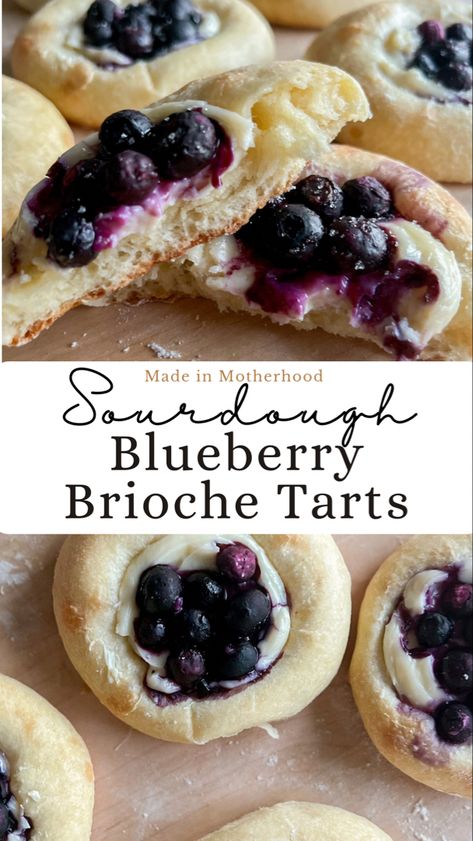 Sourdough blueberry brioche buns. Sourdough Blueberry Brioche Tarts, Sourdough Cream Cheese Danish, Blueberry Sourdough Recipes, Blueberry Cream Cheese Sourdough, Brioche Tart, Homemade Cheese Danish, Blueberry Brioche, Sourdough Treats, Sourdough Sweets