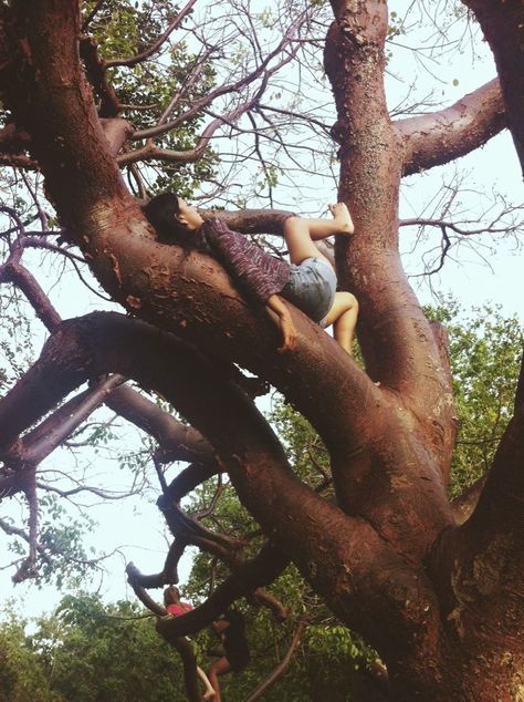 Summer Dream, Pics Art, Photography Inspo, A Tree, Bald Eagle, Dream Life, Summer Vibes, Climbing, A Man