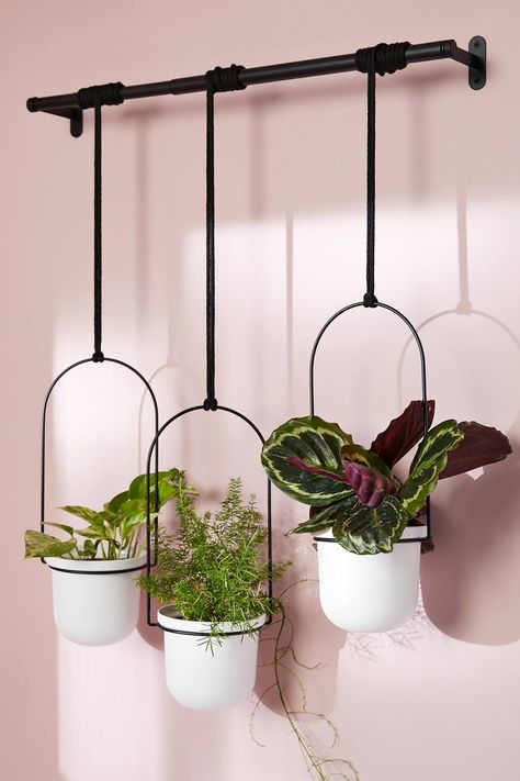 Time For an Upgrade? Shop the 99 Stunning Decor Pieces Your Home Is Missing Large Hanging Planters, Hanging Plants Outdoor, Grow Room, Metal Plant Stand, House Plants Decor, Indoor Outdoor Pillows, Hanging Planter, Plant Shelves, Hanging Planters