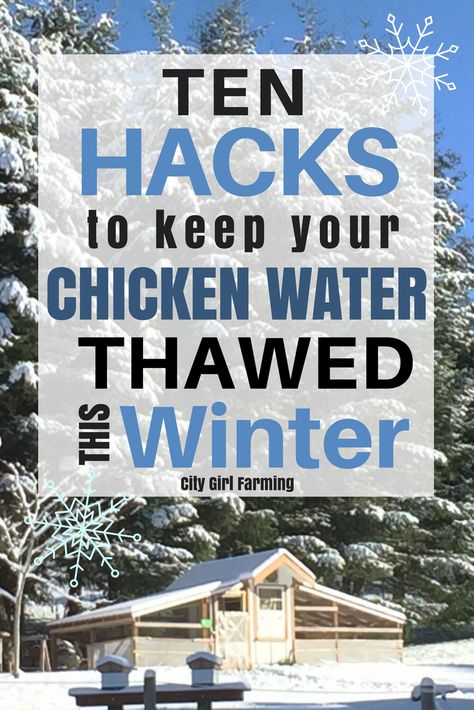 Diy Chicken Waterer For Winter, Duck Waterer No Mess Winter, How To Keep Water From Freezing In Coop, Winter Farm Hacks, Keep Chickens Warm In Winter, Diy Heated Chicken Waterer Winter, Heated Chicken Waterer, Chicken Watering System, Best Laying Chickens