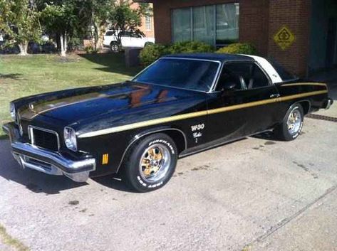 1974 Oldsmobile Hurst/Olds (Nashville, TN) | OldsmobileCENTRAL.com Hurst Car, Hurst Oldsmobile, Unusual Vehicles, Olds 442, Vinyl Roofing, Oldsmobile 442, Am Radio, Best Muscle Cars, Oldsmobile Cutlass