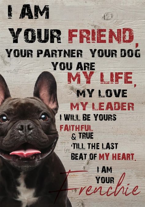 Frenchie Clothes, Puppies Quotes, French Bulldog Quotes, Bulldog Quotes, Brindle French Bulldog, God Sent, A Best Friend, Cute Pets, Dog Cute