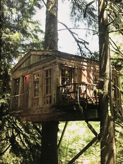 Interior Tree House, Aesthetic Tree House, Forest Tree House, Tree House Vibes, Tree House Aesthetic, Aesthetic Treehouse, Forest Treehouse Aesthetic, Old Treehouse Aesthetic, Tree House In 25' Tree