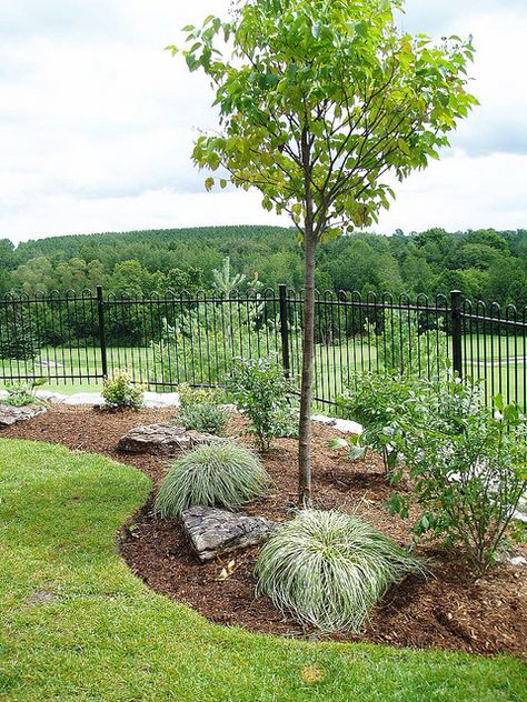 Simple Backyard Garden | Flickr - Photo Sharing! 1 Acre Front Yard Landscaping, Lawnscaping Front Yard, Large Property Landscaping, Fenceline Landscaping Ideas, Large Yard Landscaping, Low Maintenance Front Yard, Low Maintenance Backyard, Front Lawn Landscaping, Simple Backyard