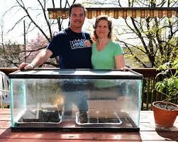 5 Cheap and Easy Ways to Build Your Own Micro-Greenhouse! - Blue Moon Acres Repurpose Aquarium, Homemade Greenhouse, Terrarium Tank, Cheap Greenhouse, Winter Sowing, Aquaponics Greenhouse, Steve Allen, Veggie Gardens, Film Technique