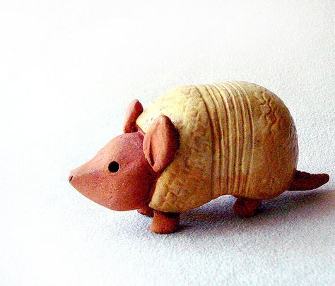 Adorable armadillo | Flickr - Photo Sharing! Polymer Clay Armadillo, Clay Armadillo, Cute Armadillo, Pottery Animals, Pinch Pot, Felted Animals, Pinch Pots, Clay Tiles, Yellow Ochre