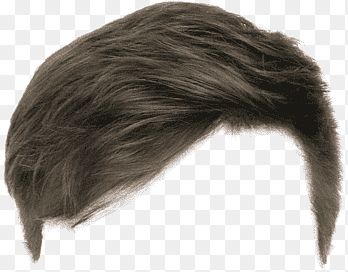 Computer Png, Hairstyle Png, Beard Wig, Wig Long Hair, Long Hair Beard, Black Hair Wigs, Photoshop Hair, Female Hairstyles, Hair Clipart