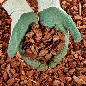 Mulch Colors, Rock Mulch, Garden Mulch, Ornamental Wood, Types Of Mulch, Rubber Mulch, Mulch Landscaping, Blankets For Winter, Wood Mulch