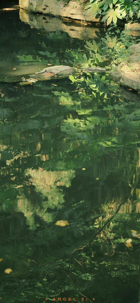 Green Water Aesthetic Wallpaper, Green Iphone 15 Wallpaper, Simple Green Wallpaper Iphone, Pond Aesthetic Wallpaper, Green Beach Wallpaper, Pretty Wallpapers Green, Dreamy Green Aesthetic, Green And Blue Wallpaper Aesthetic, Laufey Wallpaper Inspired