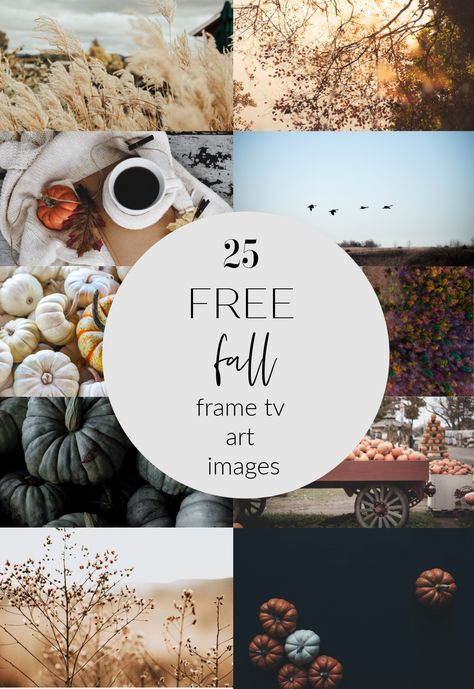 25 free fall frame tv art images Free Frame Tv Art Fall, Free Frame Tv Art, Fall Picture Frame, Samsung Picture, Picture Frame Tv, Free Halloween Wallpaper, Tv Wall Art, Fall Frames, Halloween Frames