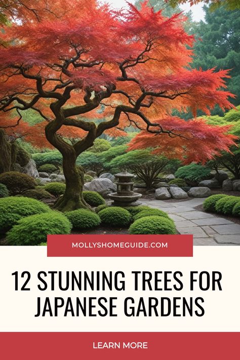 Looking to enhance your Japanese garden? Discover the best trees for Japanese gardens like Cherry Blossom, Japanese Maples, Pine, and Bonsai. Add a touch of elegance with Red Maple or Willow trees. Learn more about growing and caring for Japanese Maples in small spaces. Explore ideas on how to incorporate Cloud Trees, Wisteria, and other plants to create a serene Japanese garden oasis. Find inspiration on how to make your own tranquil Japanese garden retreat today! Japanese Patio Garden, Japanese Garden Trees, Japanese Trees Landscape, Potted Japanese Maple Tree, Bonsai Garden Landscaping, Maple Tree Garden, Webpage Ideas, Small Japanese Garden Ideas, Backyard Japanese Garden