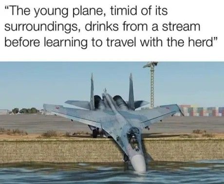 Plane Memes, Wojskowy Humor, Jet Fighter Pilot, Aviation Humor, Army Memes, Military Memes, Army Humor, Military Humor, Really Funny Pictures