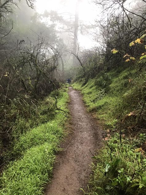 Dipsea Trail, Rainy Hike, Demure Fall, Missouri Hiking, Hiking In The Rain, Spiritual Abundance, Missouri Camping, Arizona Camping, Isle Royale National Park