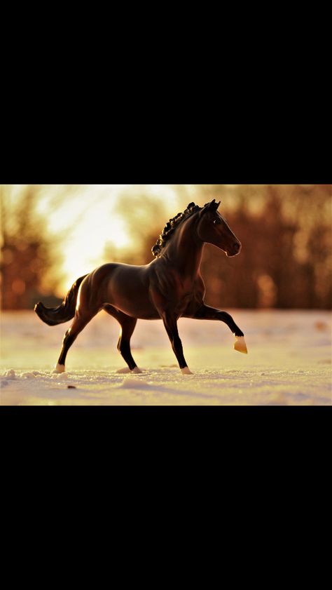 Breyer model Cobra, photographed by me #breyermodelhorses  #modelhorsephotography #breyerrealisticphotography Breyer Photography, Briar Horses Toy, Breyer Stablemates Custom, Breyer Horses Scenes, Breyer Wind Dancers, Panther, Horses, Photographer, Photography