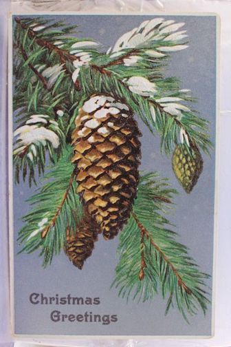 Pinecone Illustration, Xmas Postcard, Mistle Toe, Christmas Tree Scent, Vintage Christmas Card, Christmas Graphics, Vintage Card, Old Christmas, Old Fashioned Christmas