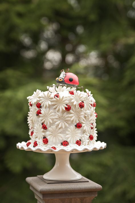 Ladybird Birthday Theme, Birthday Ladybug, Lady Buggy Cake, Ladybug Cake Topper, Ladybug Themed Cake, Birthday Cake Ladybug, Ladybug 1st Birthday Cake, Ladybug And Daisy Birthday, Pink Ladybug Cake