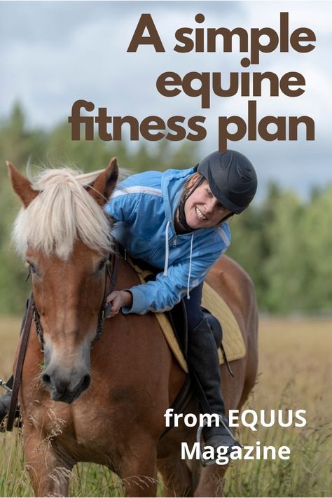 Horse Conditioning Schedule, Horse Fitness Plan, Horse Conditioning Plan, Horse Training Schedule, Flatwork Exercises Horses, Horse Worming Schedule, Horse Workout, Equine Exercises, Equine Veterinarian