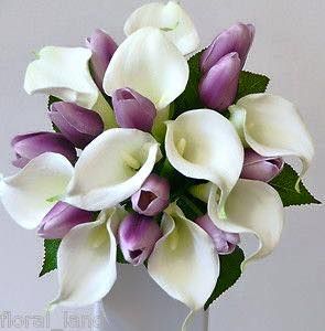 Tulips and Lilies. The most perfect flowers. Tulip And Calla Lily Bouquet, Tulips And Calla Lillies Bouquet, Calla Lily And Tulip Bridal Bouquet, Long Stem Calla Lily Bouquet, Florist Inspiration, Purple Calla Lilies Wedding, Arum Lilies, Lily Purple, Posy Flower