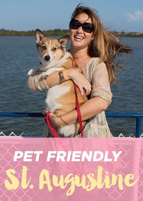 Road Trip With Dog, Dog Friendly Beach, Dog Friendly Hotels, St Augustine Florida, Vacation Tips, Visit Florida, Dog Beach, Dog Travel, Winter Vacation