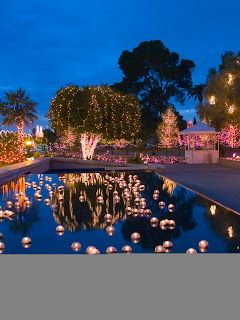 Backyard Wedding Pool, Pool Wedding Decorations, Pool Decorations, Candles Reception, Backyard Wedding Lighting, Outdoor Lighting Design, Pool Wedding, Diy Outdoor Lighting, Wedding Backyard Reception