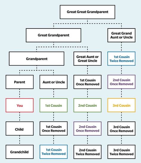 Second Cousin vs. Second Cousin Once Removed—Cousin Chart Second Cousin Chart, Cousins Chart, Cousin Chart, Cousin Relationships, Quick View Bible, November Quotes, Relationship Chart, Genealogy Websites, Family Tree Chart