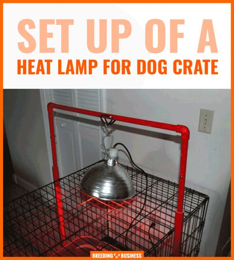 Kennel heat lamps are convenient alternatives to more long-term and definitive solutions like dog house heaters or insulated winter kennels. Outdoor Dog Kennel Ideas Winter, Winterize Dog House, Heat Lamp For Dog House, Heat Lamps Outdoor, Heated Dog House Diy, Heated Dog House Outdoor, Outdoor Cat House With Heat Lamp, Dog House Heat Lamp, Dog Kennel Heat Lamp