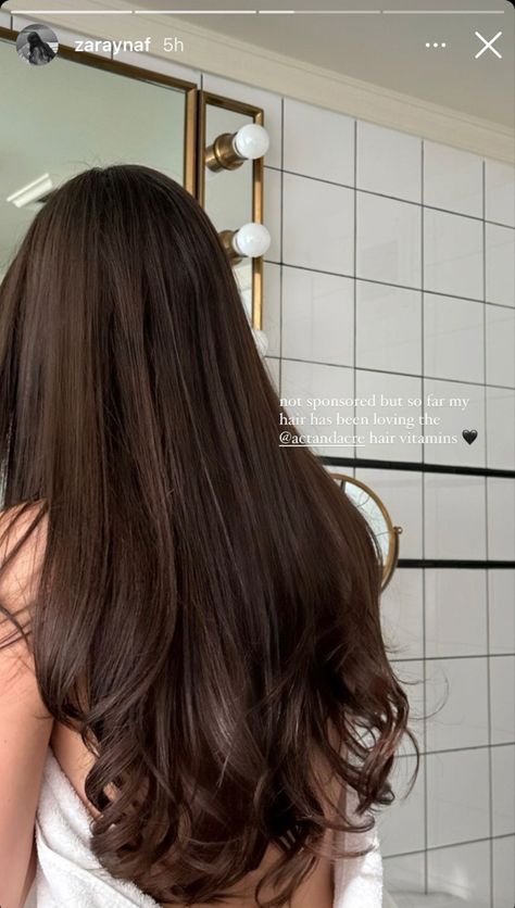 Healthy Hair Aesthetic, Brown Hair Inspo, Hairstyles For Layered Hair, Hair Aesthetic, Long Brown Hair, Beautiful Long Hair, Hair Inspo Color, Light Brown Hair, Long Hair Cuts