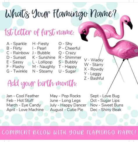 Name Tag Ideas, Flamingos Quote, Flamingle Party, Flamingo Pool Parties, Flamingo Themed Party, Girly Birthday Party, Let's Flamingle, Fancy Flamingo, Girly Birthday