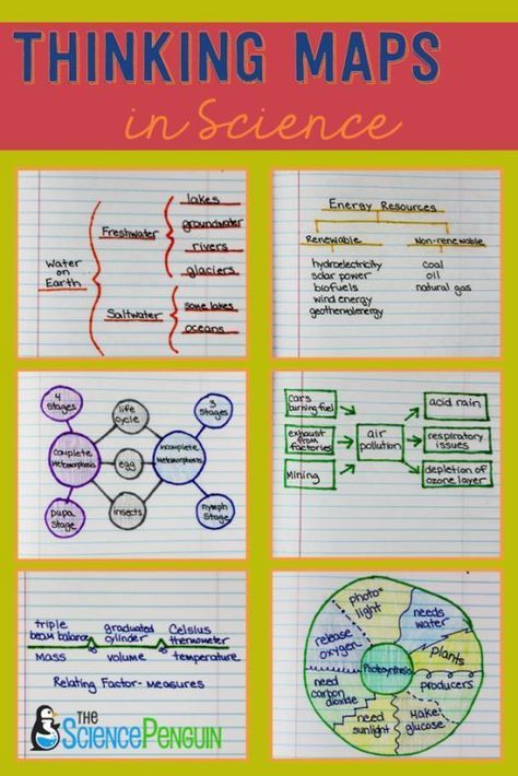 Using the 8 Thinking Maps in Science: Examples and Pics. Input and Output. Making connections. Science Penguin, Thinking Map, Science Anchor Charts, Thinking Maps, 7th Grade Science, Dysgraphia, Science Notebook, 8th Grade Science, Interactive Science