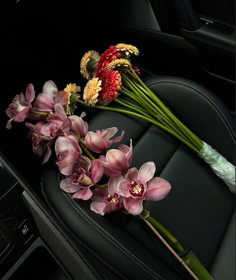 Boquette Flowers, Nothing But Flowers, Flower Therapy, Love Flowers, My Flower, Pretty Flowers, Pretty Pictures, A Car, Flower Power