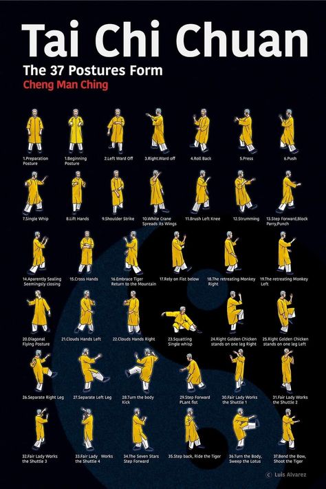 Tia Chi, Culture Illustration, Parkour Training, Learn Tai Chi, Tai Chi For Beginners, Chi Gong, Tai Chi Exercise, Tai Chi Qigong, Earth Element