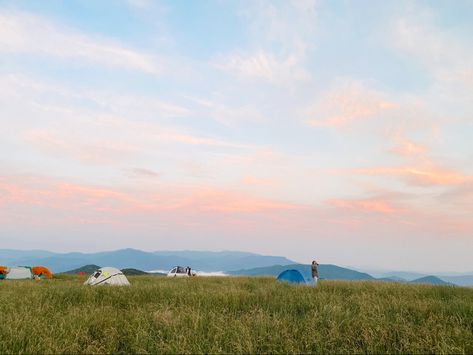 January Moodboard, Patch Aesthetic, Max Patch, Road Trip Camping, Sunset Nature, Travel Outdoors, Travel Bugs, Green Space, Travel Inspo