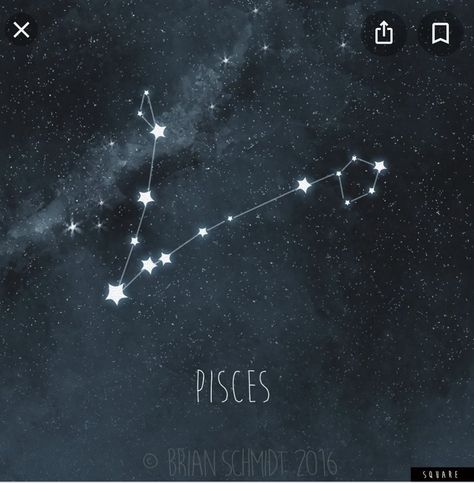 Pisces Constalation Tatoos, Constellations Pisces, Fine Line Pisces Constellation Tattoo, Pisces Zodiac Constellation, Pisces Tattoo Stars, Pices Constellation, Minimalist Pisces Constellation Tattoo, Pisces Constellation Tattoo Stars, Pieces Constellation Tattoo