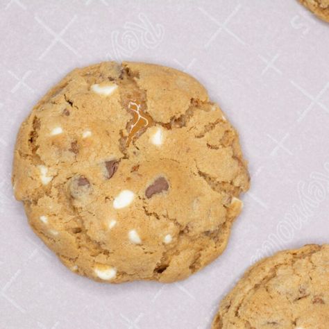 Biscoff Cookie Butter Cookies : The Girl Who Was Hungry Cookie Butter Cookies, Biscoff Cookie Butter, Cookie Games, Biscoff Cookies, Cinnamon Cookies, Cookie Butter, Butter Spread, Decadent Chocolate, Cookie Scoop