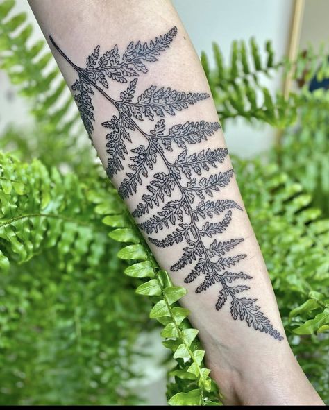 Fern Spine Tattoo, Naturalistic Tattoos, Graduation Tattoo, Tattoos Capricorn, Tattoos Taurus, Tattoo 101, Sagittarius Tattoos, Libra Tattoos, Capricorn Tattoos