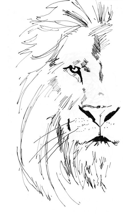 Tattoo Lion, A Drawing, A Black, Lion, Black And White, White, Black