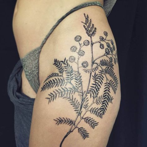 Mimosa Flower Tattoo, Tree Tattoo Meaning, Cute Thigh Tattoos, Tattoo Japan, Irezumi Tattoo, Simple Tattoos For Women, Flower Tattoo Meanings, Literary Tattoos, Mimosa Flower