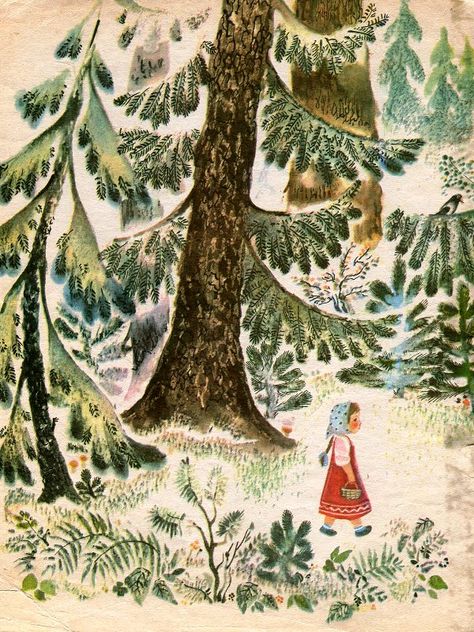 forest in children books Vintage Illustration Fairytale, Fairytale Book Illustration, Wander Illustration, Russian Illustration, Pine Illustration, Vintage Children's Books Illustrations, Vintage Forest Illustration, Into The Woods Illustration, Phoebe Wahl