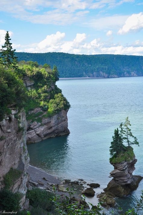 Bay of Fundy, in the Fundy Trail Park near St. Martins, New Brunswick, Canada; photo by .Brian-B-Photography Canada Cruise, Bay Of Fundy, East Coast Road Trip, New Brunswick Canada, Eastern Canada, Canada Road Trip, Atlantic Canada, O Canada, Nature's Bounty