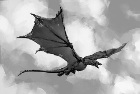 Dragons Flying Together, Flying Dragon Reference, Fantasy Dragon Flying, Dragon Flying Reference, Flying Dragon Sketch, Wyvern Flying, Flying Dragon Drawing, Dragon Flying Drawing, Dragon Front View