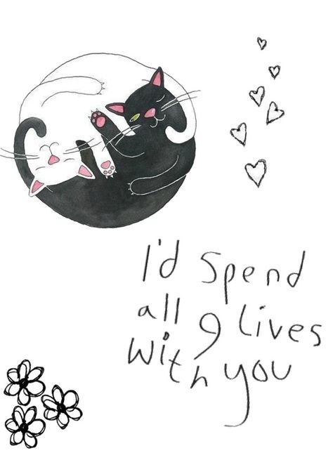 I'd spend all nine lives with you Dog Valentine, 9 Lives, Nine Lives, Yin And Yang, Cat Quotes, Ying Yang, Without You, Hopeless Romantic, Crazy Cat Lady