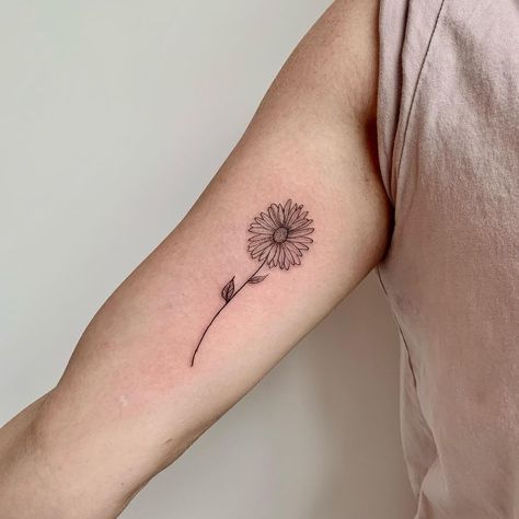 Astra Flower Tattoo, Black And White Aster Tattoo, Aster Flower Tattoo September, Aster Tattoos, Tattoo Butterfly Ideas, Aster Flower Tattoo, Tattoos Trending, Aster Tattoo, Aster Flower Tattoos