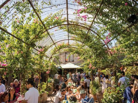 Sydney Cafe, The Grounds Of Alexandria, Vertical Farming, Sydney City, Outdoor Cafe, Instagrammable Places, Cool Cafe, In Season Produce, Cheap Hotels