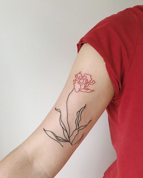 Green Line Tattoo, Magenta Tattoo, Tattoo Linework, Plant Tattoo, Instagram Tattoo, Line Tattoo, Line Work Tattoo, Design Drawings, Tattoo Design Drawings