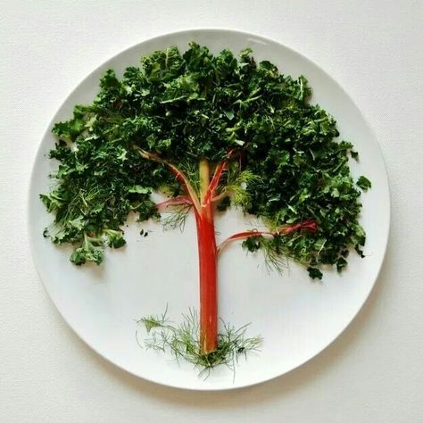 Tree Food Art Vegetable Arrangements, Design Cibo, Vegetable Design, Food Art For Kids, Food Artists, Amazing Food Art, Creative Food Art, Food Rules, Edible Arrangements