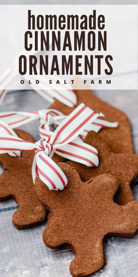 Kids love to make these Homemade Cinnamon Ornaments! They're a great Christmas craft to do together, plus they look and smell amazing! Darling DIY Christmas tree ornaments. Homemade Cinnamon Ornaments, Cinnamon Ornament Recipe, Popcorn Garland, Diy Cinnamon, Cinnamon Ornaments, Gift Jar, Cinnamon Cookies, Diy Christmas Tree Ornaments, Gingerbread Ornaments