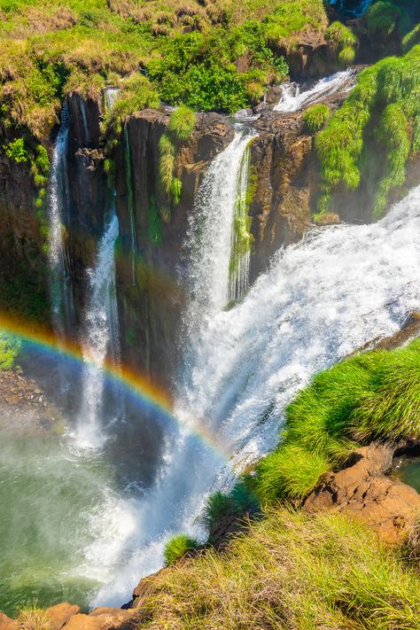 Iguazu Falls Brazil, Iguassu Falls, Brazil Nature, Tropical Waterfall, Brazil Aesthetic, Visit Brazil, Travel Report, Iguazu Falls, Largest Waterfall