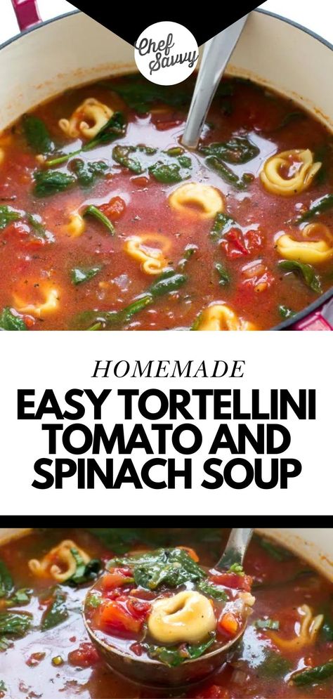 This Easy Tomato Spinach Tortellini Soup is a cinch to make and comes together in just 30 minutes. It’s satisfying, healthy, and comforting, especially when the temperatures start to drop. Served with some bread like my garlic cheese biscuits or focaccia bread, this makes for the perfect dinner any day of the week! Follow Chef Savvy for more Dinner Ideas for Family to make for Easter! Garlic Tortellini, Garlic Cheese Biscuits, Soup Christmas, Tomato Tortellini, Spinach Soup Recipe, Spinach Tortellini Soup, Best Easy Dinner Recipes, Tomato Tortellini Soup, Spinach Tortellini