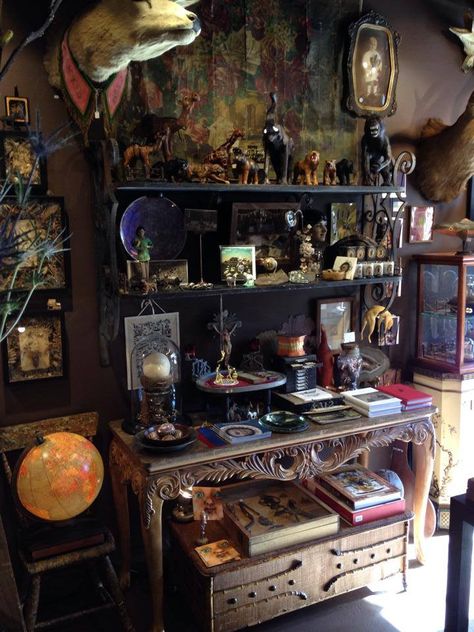 Curio Shop, Cabinet Of Curiosity, Goth Home, Cabinet Of Curiosities, Maximalist Decor, Witchy Decor, Witch House, Gothic Home Decor, Gothic House