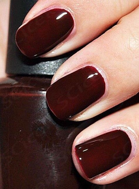 $19.95 Opi Winter Nails, Velvet Brown Nails, Fall Nail Colors Opi Gel, Opi Wine Colors, Fall Toe Nail Colors Pedicures, Fall Nails Burgundy, Burgendy Nails, Opi Fall Colors, Oxblood Nails